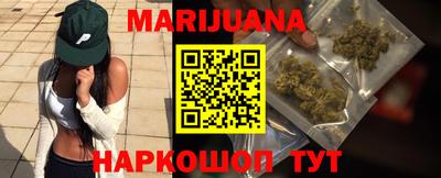сатива Кунгур