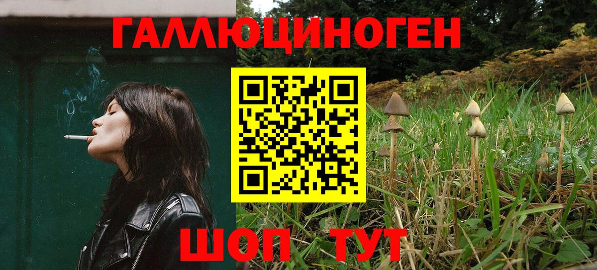 Псилоцибиновые грибы Magic Shrooms Ковров