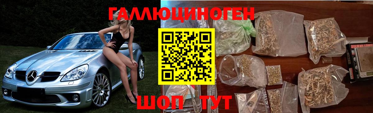 где найти   Вход с VPN  Ковров  Галлюциногенные грибы MAGIC MUSHROOMS 